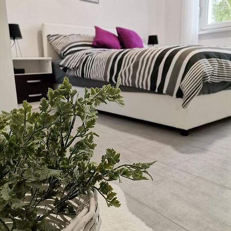 סומבור Apartman Maki מראה חיצוני תמונה