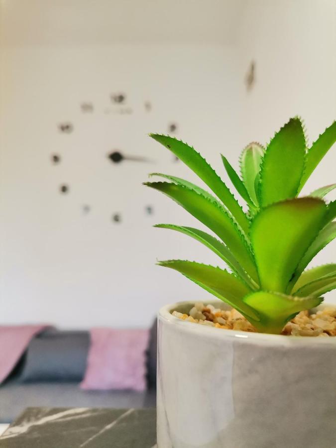 סומבור Apartman Maki מראה חיצוני תמונה