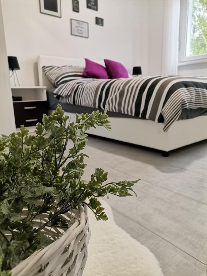 סומבור Apartman Maki מראה חיצוני תמונה